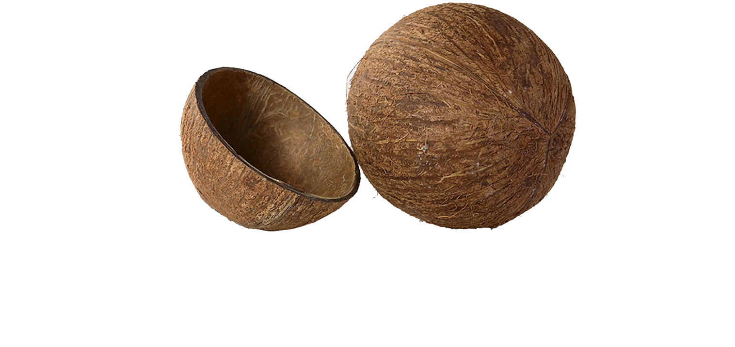 Coconut Shell Carbon